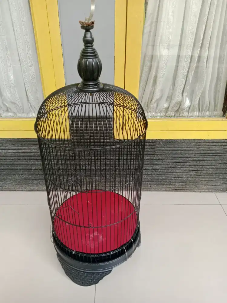 Sangkar Love bird besi tebel