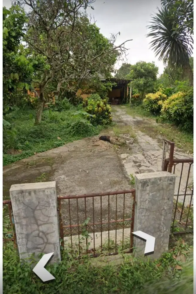 Dijual 3000 Meter2 Tanah+Rumah di Jalan Baru,Cogreg, Ciseeng