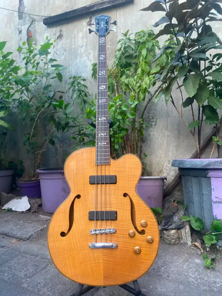 Bass washburn semi hollowbody