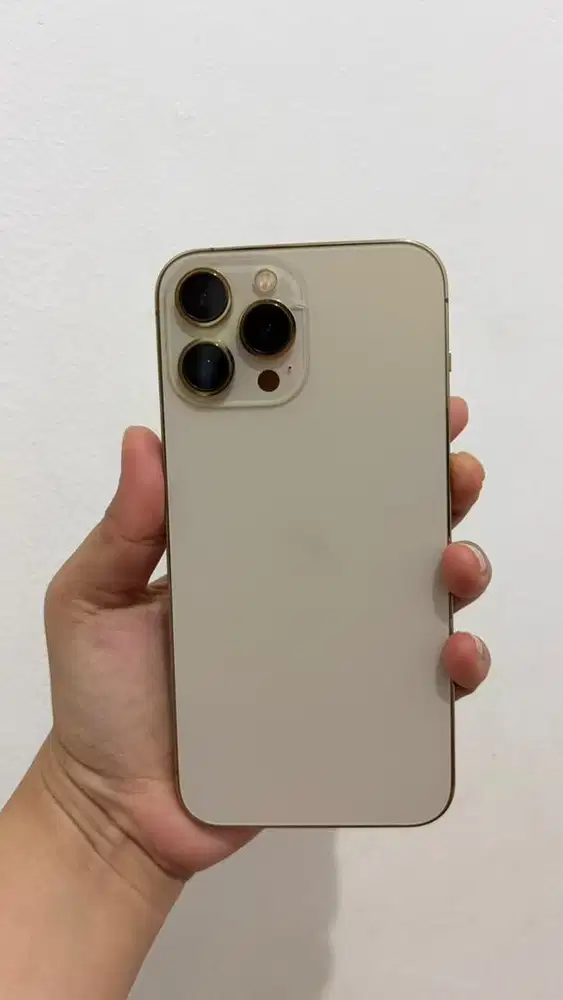 Iphone 13 promax 256gb inter wifi only