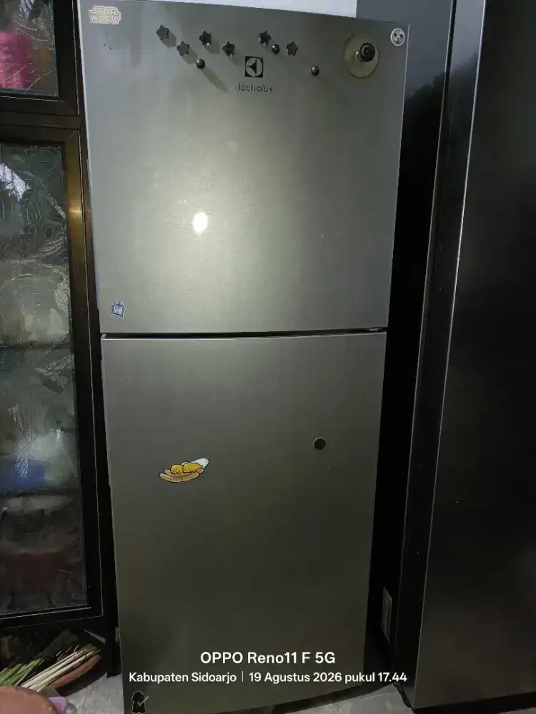Lemari es 2 pintu Electrolux bekas ETB2102MG