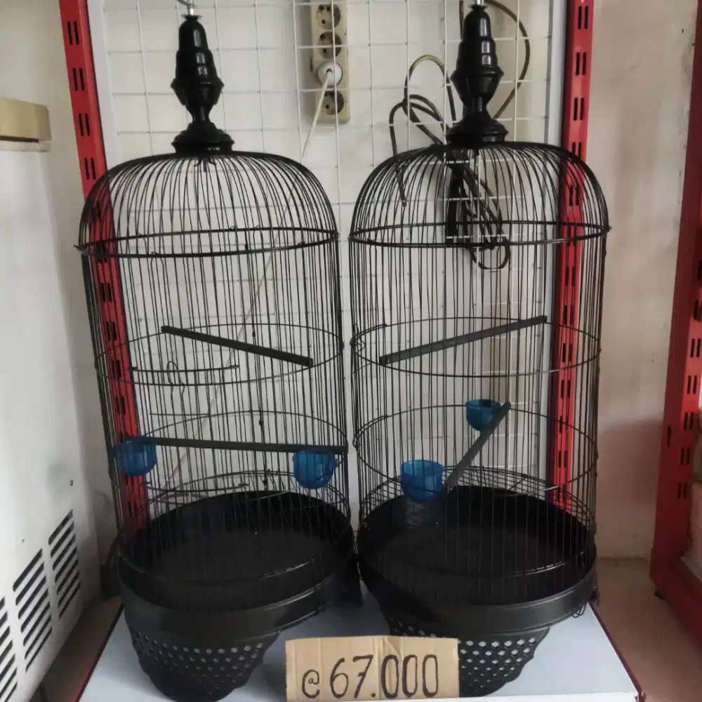 Sangkar burung love bird, kenari, perkutut