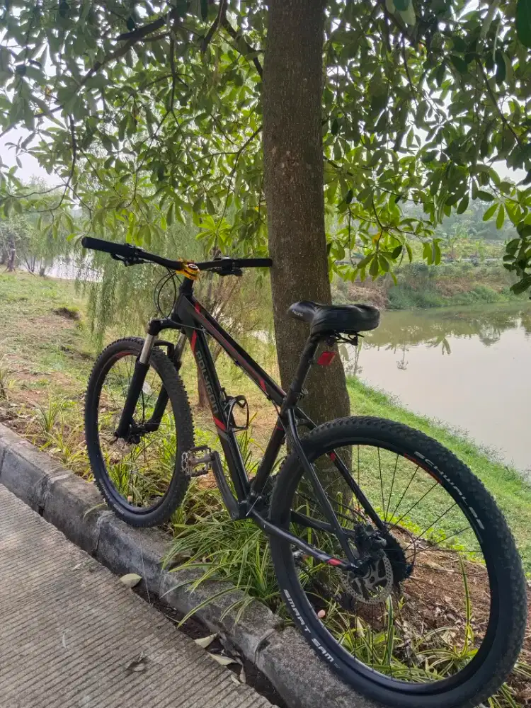 Sepeda gunung polygon xtrada 5