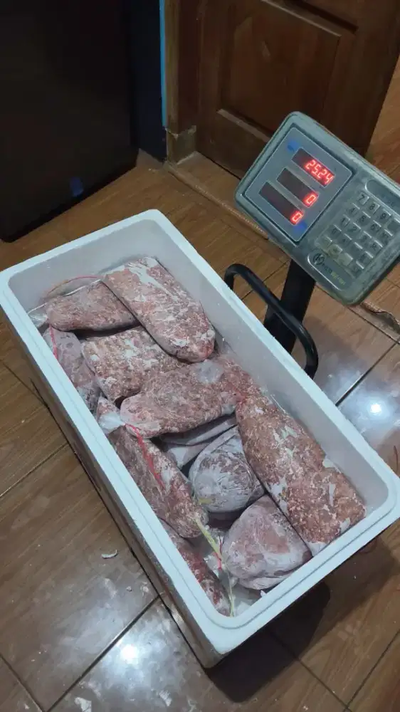 Raw Food Anjing dan kucing