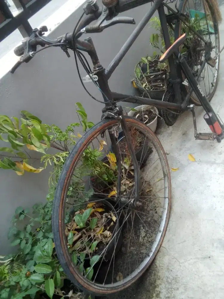 Sepeda Balap Jadul