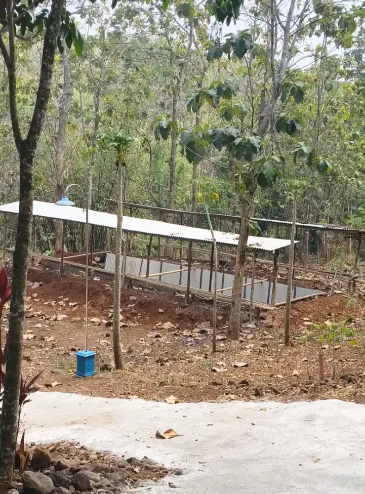 Dijual tanah pinggir desa