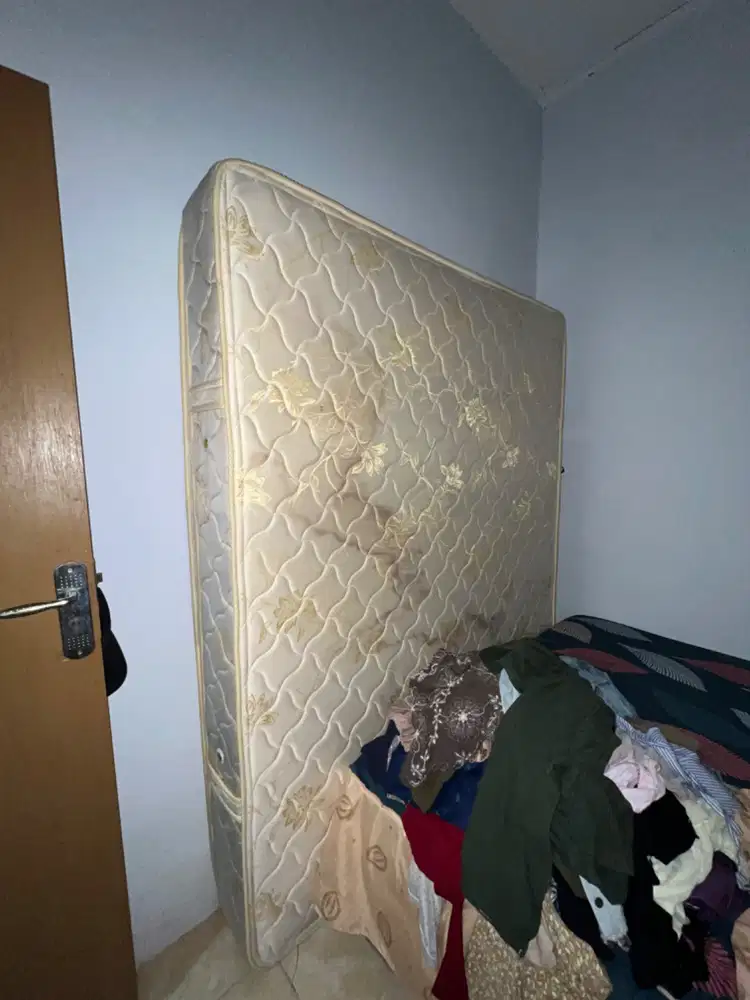 Kasur springbed disland 160x200