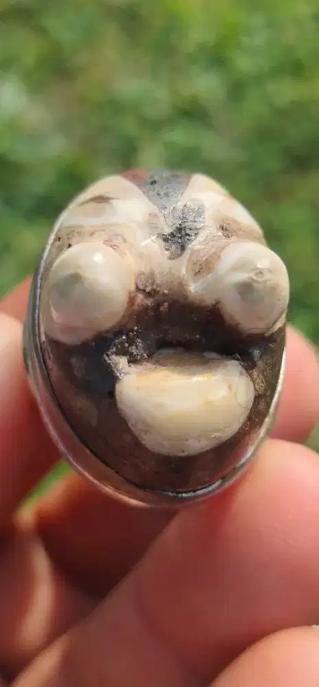 Batu Natural King Cobra Jasper Origin Madagaskar BerCertificate