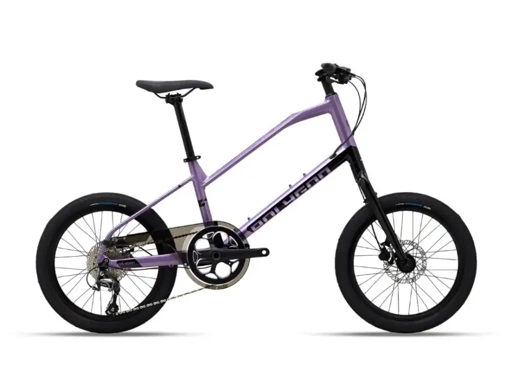 Polygon Zeta 2 Purple Like New – Tiagra 1x10