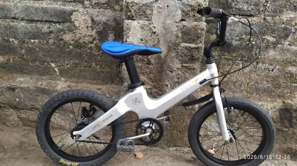 Sepeda Pasific alloy uk16