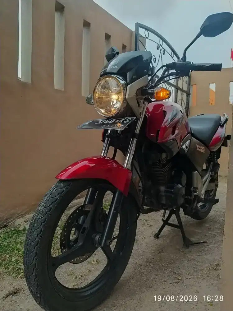 TIGER REVO 2011