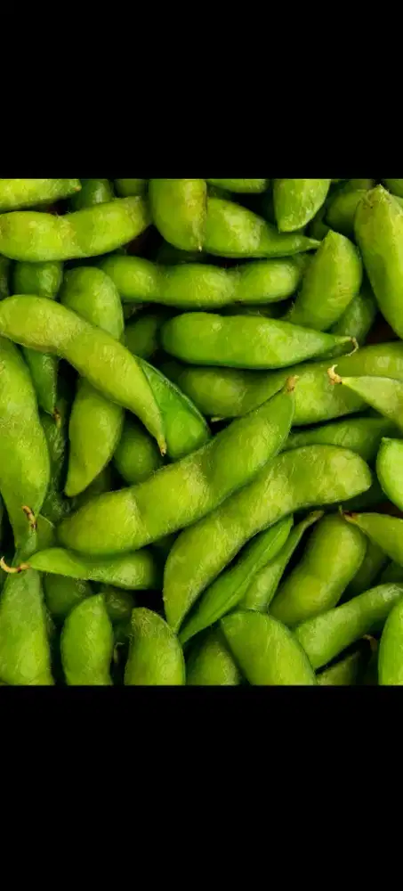 Edamame segar setiap Hari ready