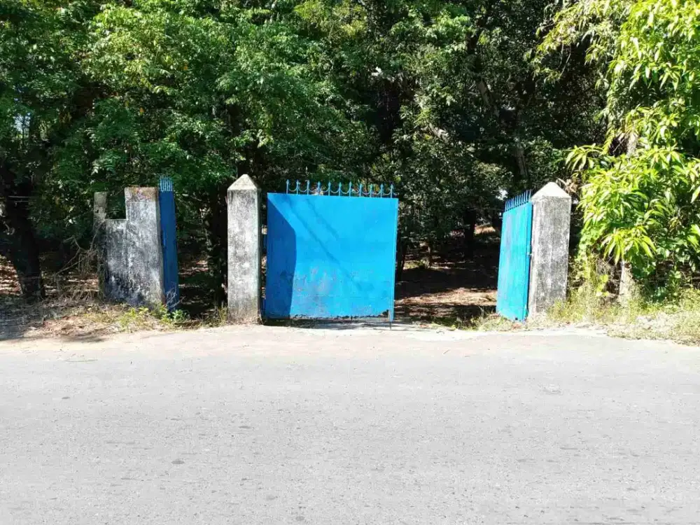 DIJUAL CEPAT TANAH PINGGIR PANTAI TANAHWANGKO, HARGA SANGAT MURAH
