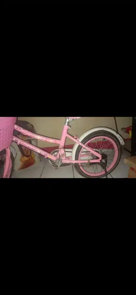 Sepeda anak usia 5-9 tahun