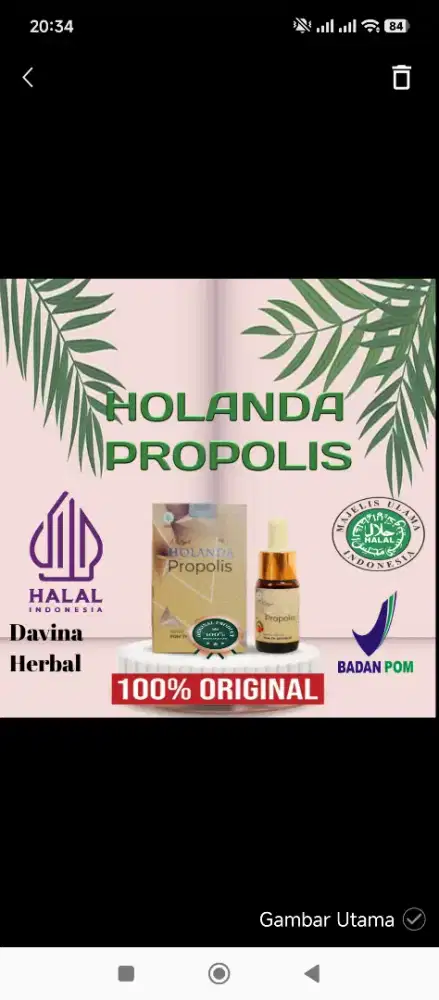 Holanda Propolis Obat Asam Urat Reumatik Stroke Saraf Kejepit Asli