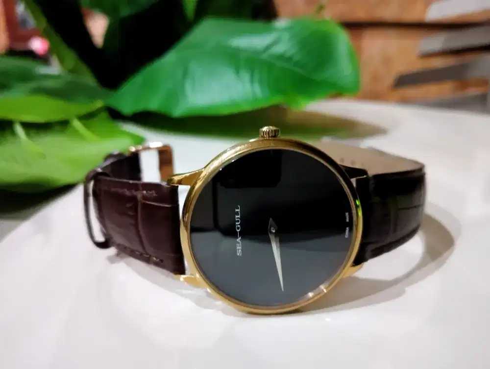 Sea-gull manual winding (not seiko,casio, citizen, mido, rado, omega)