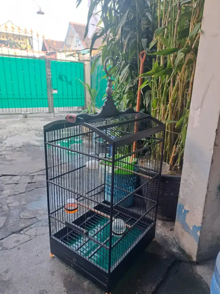 Kandang burung bekas