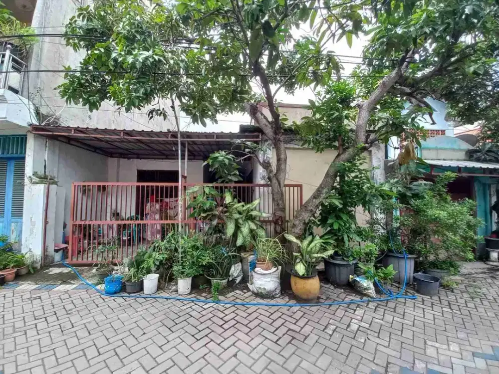 DI JUAL RUMAH 

PERUM BLURU PERMAI BLOK FB-28
KEL. : BLURUKIDUL 
KEC. : SIDOARJO 
KAB  : SIDOARJO