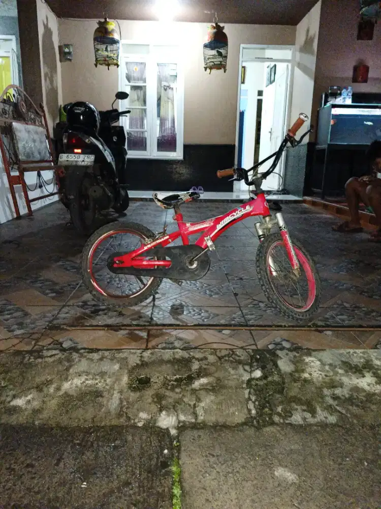 Sepeda Wimcycle