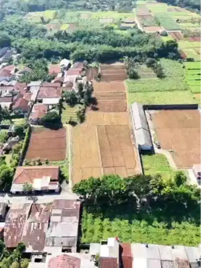 Tanah luas, ngantong, strategis, daerah Bogor, cocok untuk cluster.