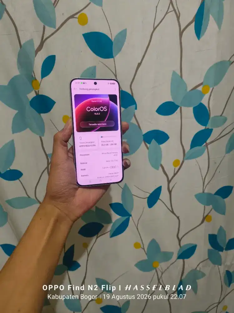 Oppo Reno 13 5G 12/256