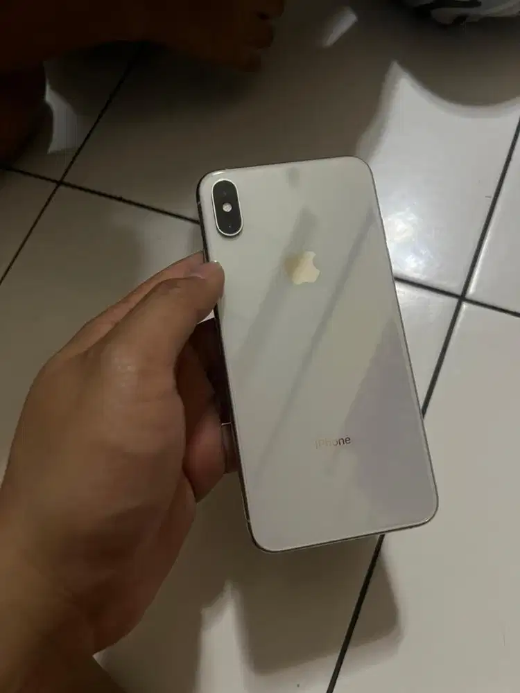 Xs max 64 silper