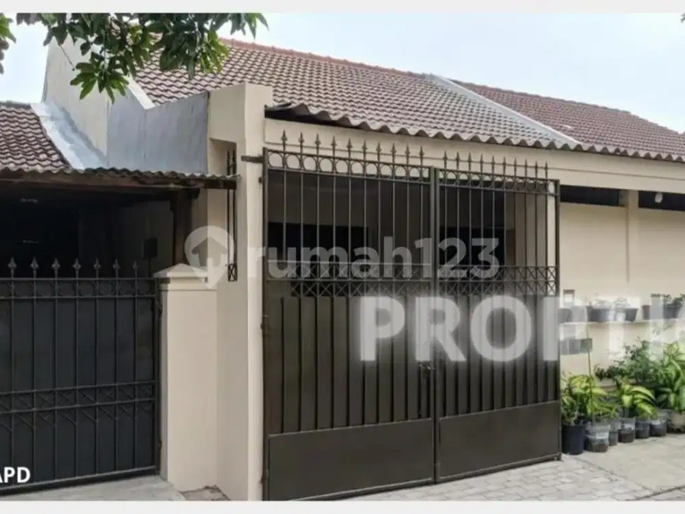 Rumah 1 Lantai Rungkut Surabaya - Rm262apd