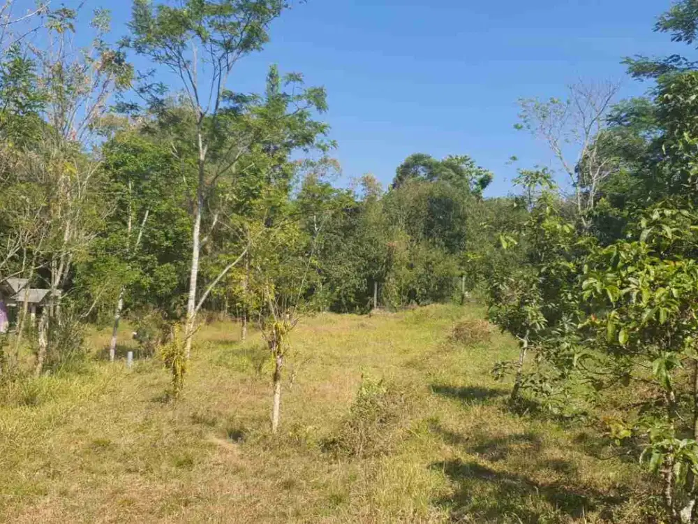 Tanah Super Murah SHM Pekarangan View Bagus Sejuk Dingin