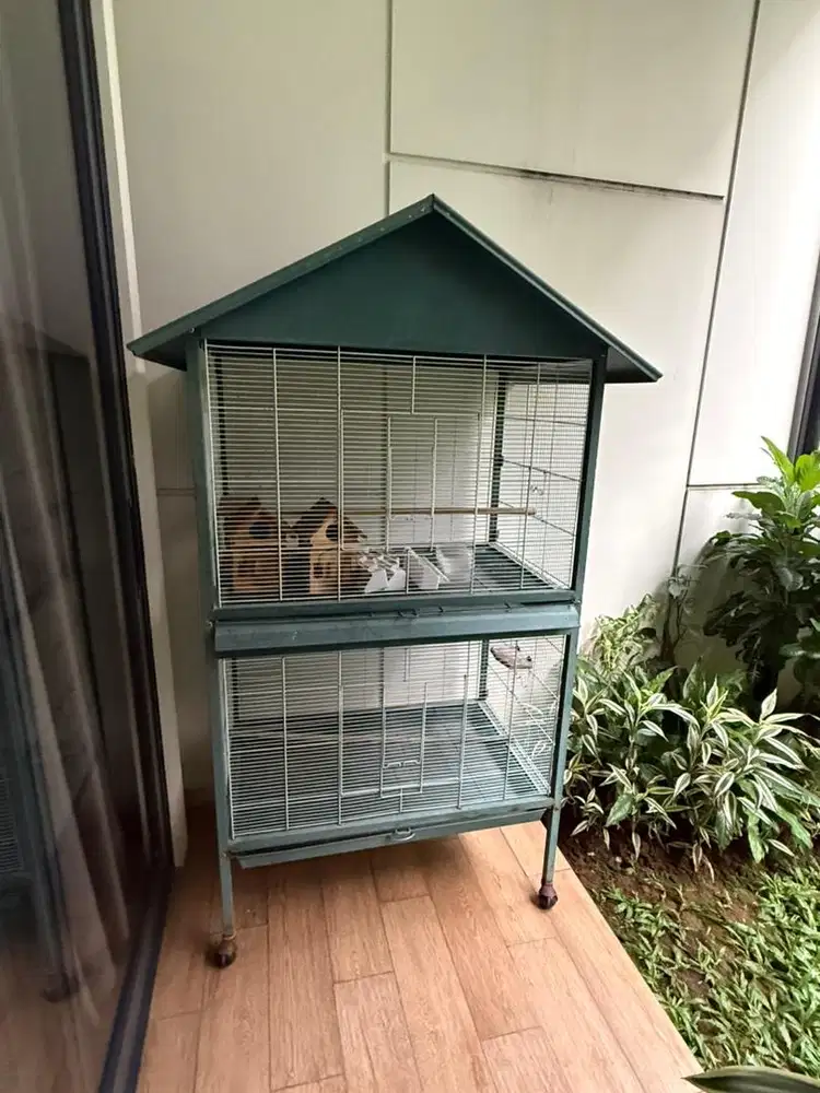 Kandang burung kucing
