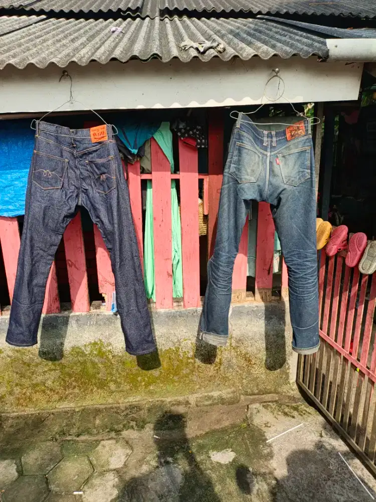 denim pmd & co megalodon