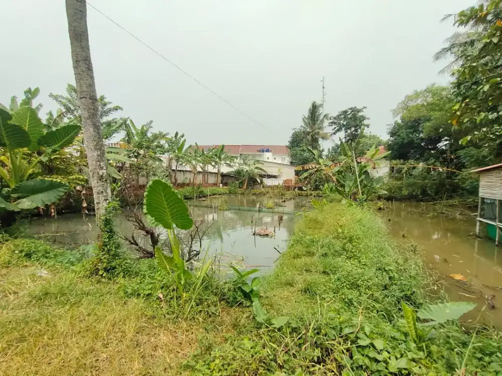DIJUAL LAHAN TANAH