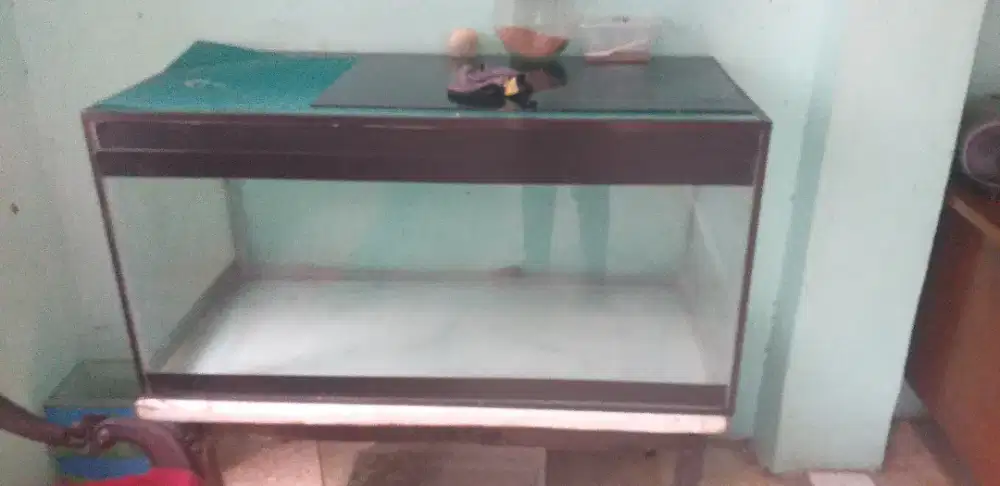 Akurium ikan awarna