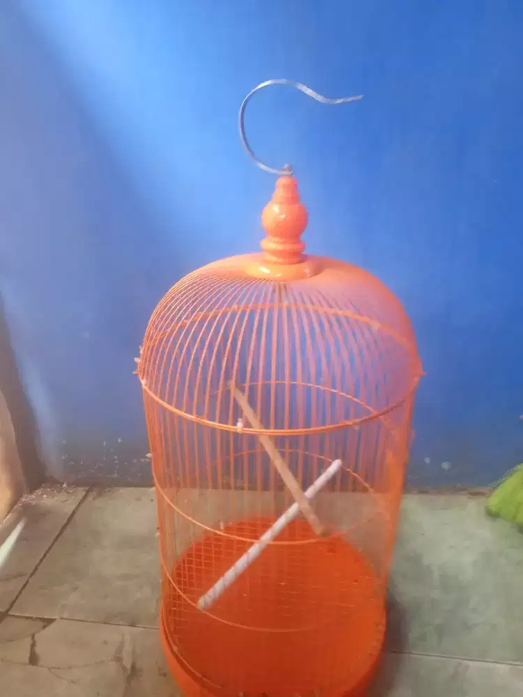Kandang burung Lovebird