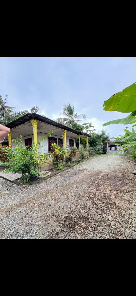 DIJUAL CEPAT RUMAH DAN TANAH, COCOK UNTUK USAHA TERNAK AYAM DAN KEBUN
