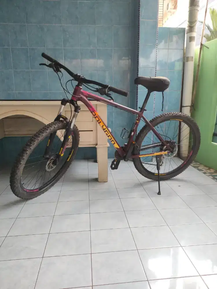 Polygon Premier 4 2022