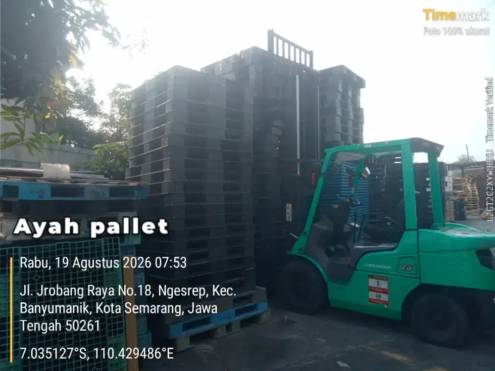 Palet plastik bekas semarang Ayah pallet
