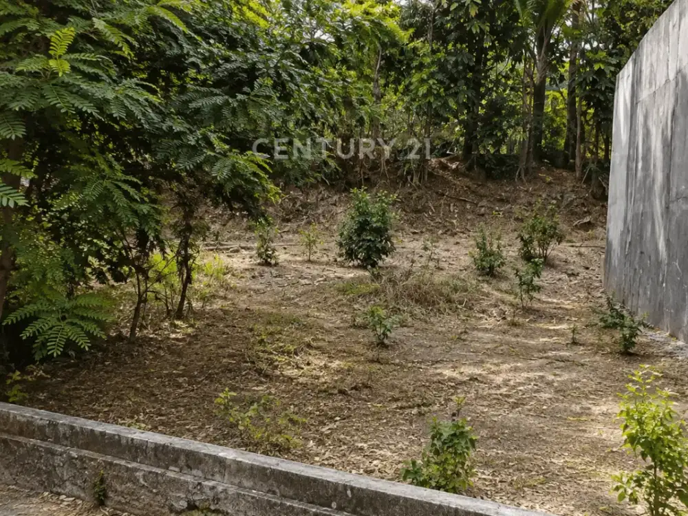 Kavling 3 Muka Jalan Di Sedayu Fleksibel Untuk Hunian