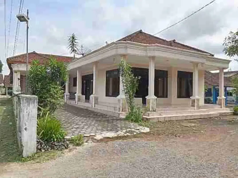 Dijual murah! rumah LT 534m² di depan SDN Curah Lele 2, Karang Pakem, Kec. Balung, Jember