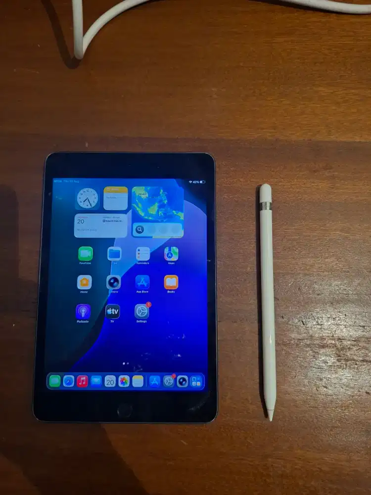 Paket Ipad Mini 5 64gb Inter + Apple Pencil 1st gen