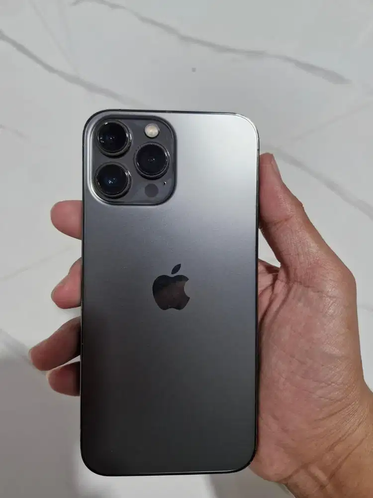 iPhone 13 Pro Max 256GB Alpine Green - Beacukai
