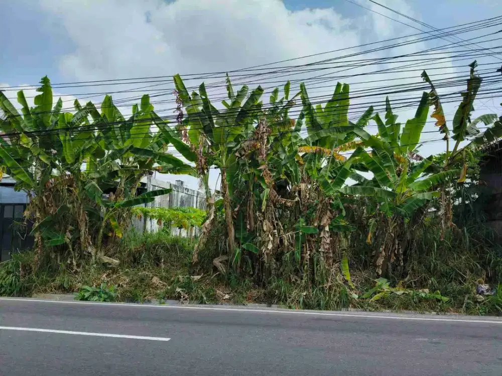 disewakan tanah cocok buat usaha