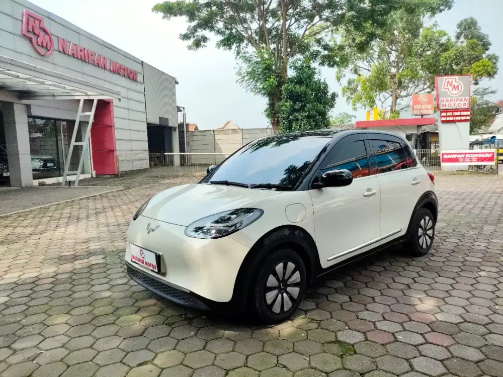 Wuling Binguo EV Premium Range 2024