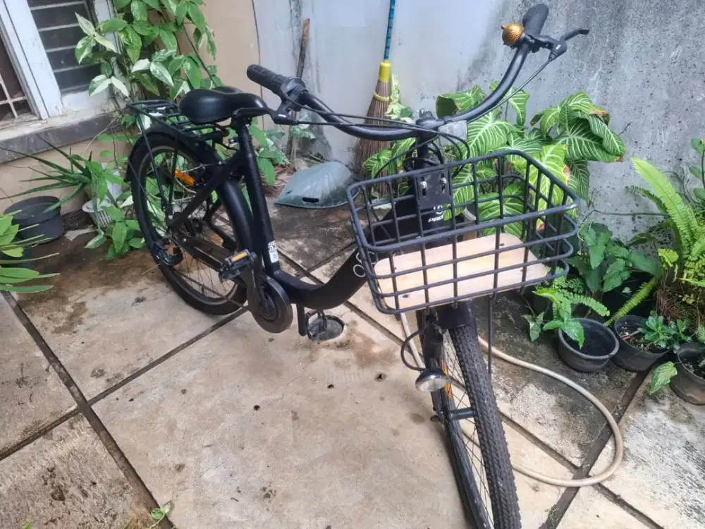 Jual Sepeda Pacific Ofo 26”