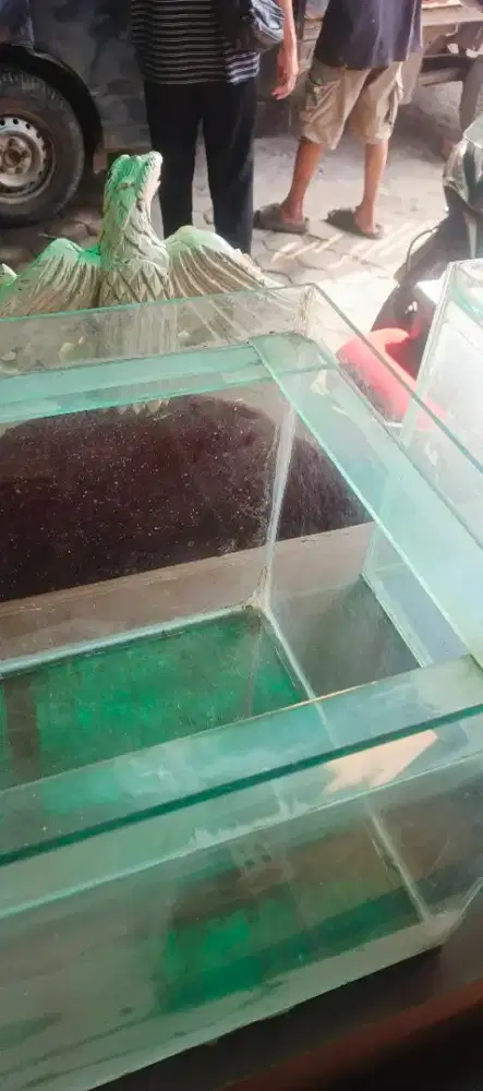 akuarium ikan hias