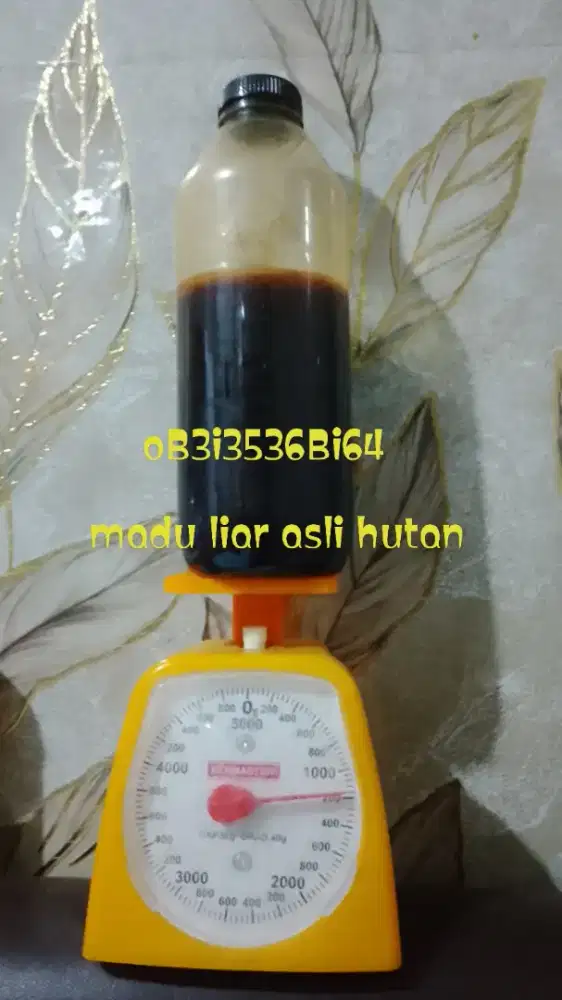 Madu liar asli hutan langsung petani madu terjamin garansi higenis