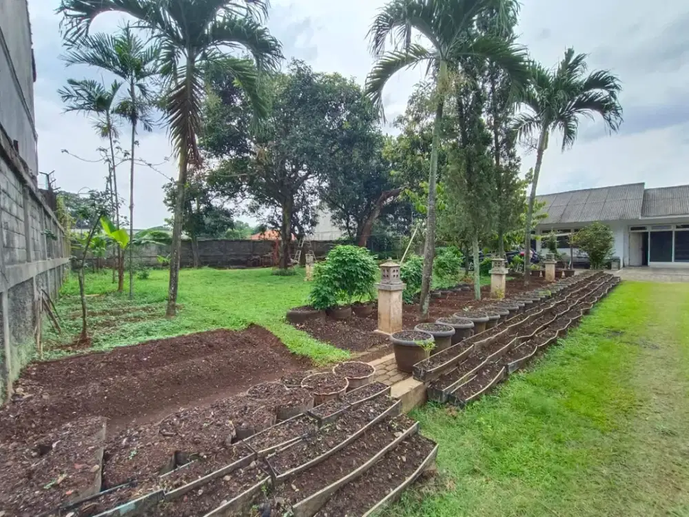 Tanah Luas ada Bangunan Rumah Lama Dijual dibawah Harga NJOP Lokasi Strategis di Cilangkap Baru, Jakarta Timur