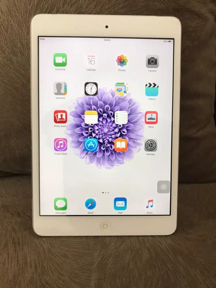iPad Mini 1 64GB Wifi Only
