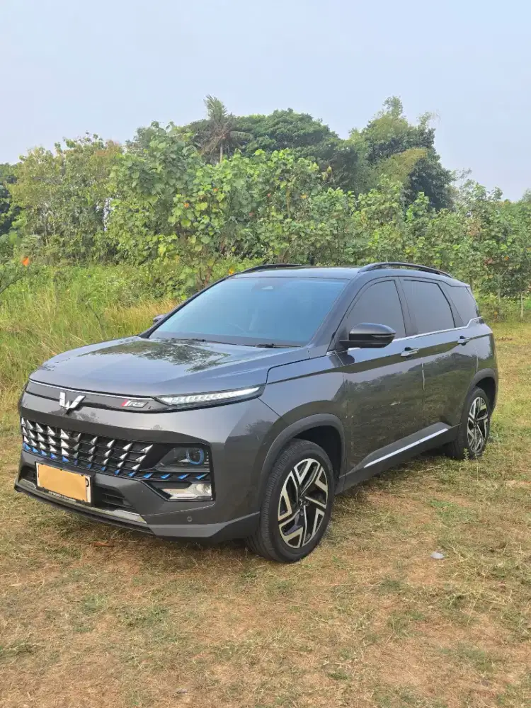 Almaz hybrid facelift