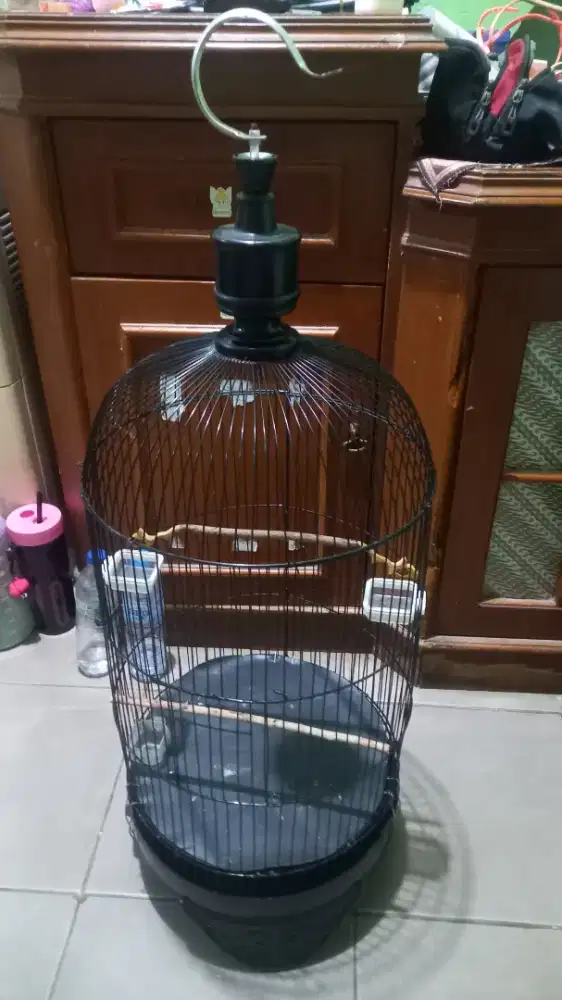 Kandang burung love bird