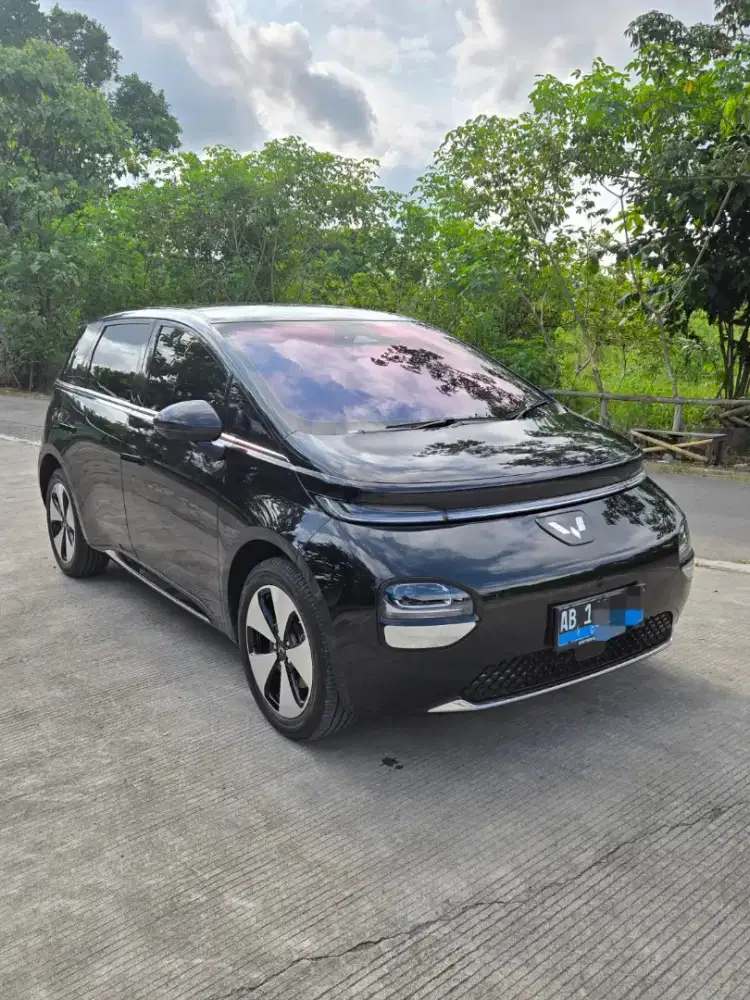 Cloud EV Pro DC CCS2 460km
